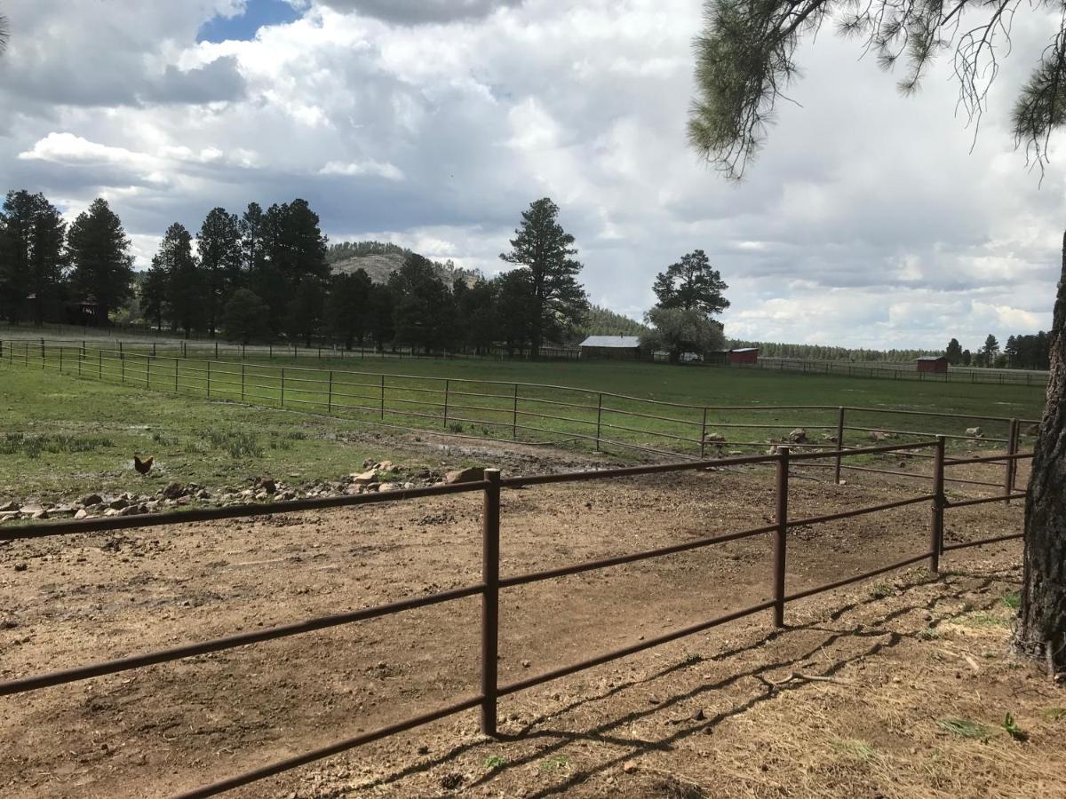 Grand Canyon Cottage At Historic Wrigley Ranch With Horseback Riding & Shooting Parks Экстерьер фото