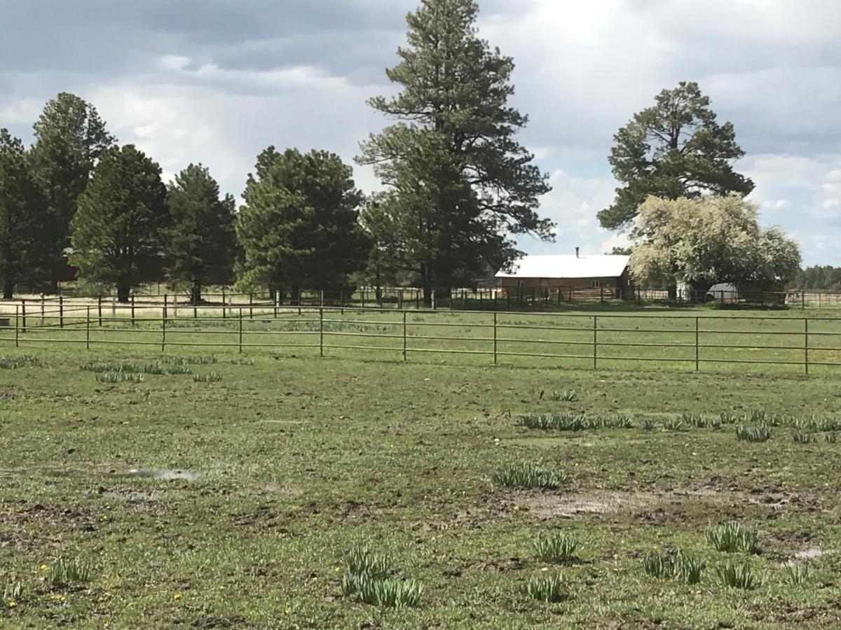 Grand Canyon Cottage At Historic Wrigley Ranch With Horseback Riding & Shooting Parks Экстерьер фото
