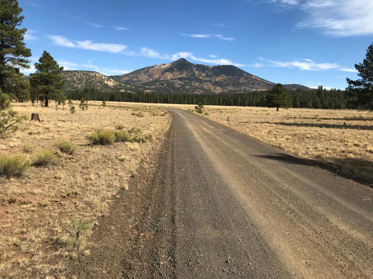 Grand Canyon Cottage At Historic Wrigley Ranch With Horseback Riding & Shooting Parks Экстерьер фото
